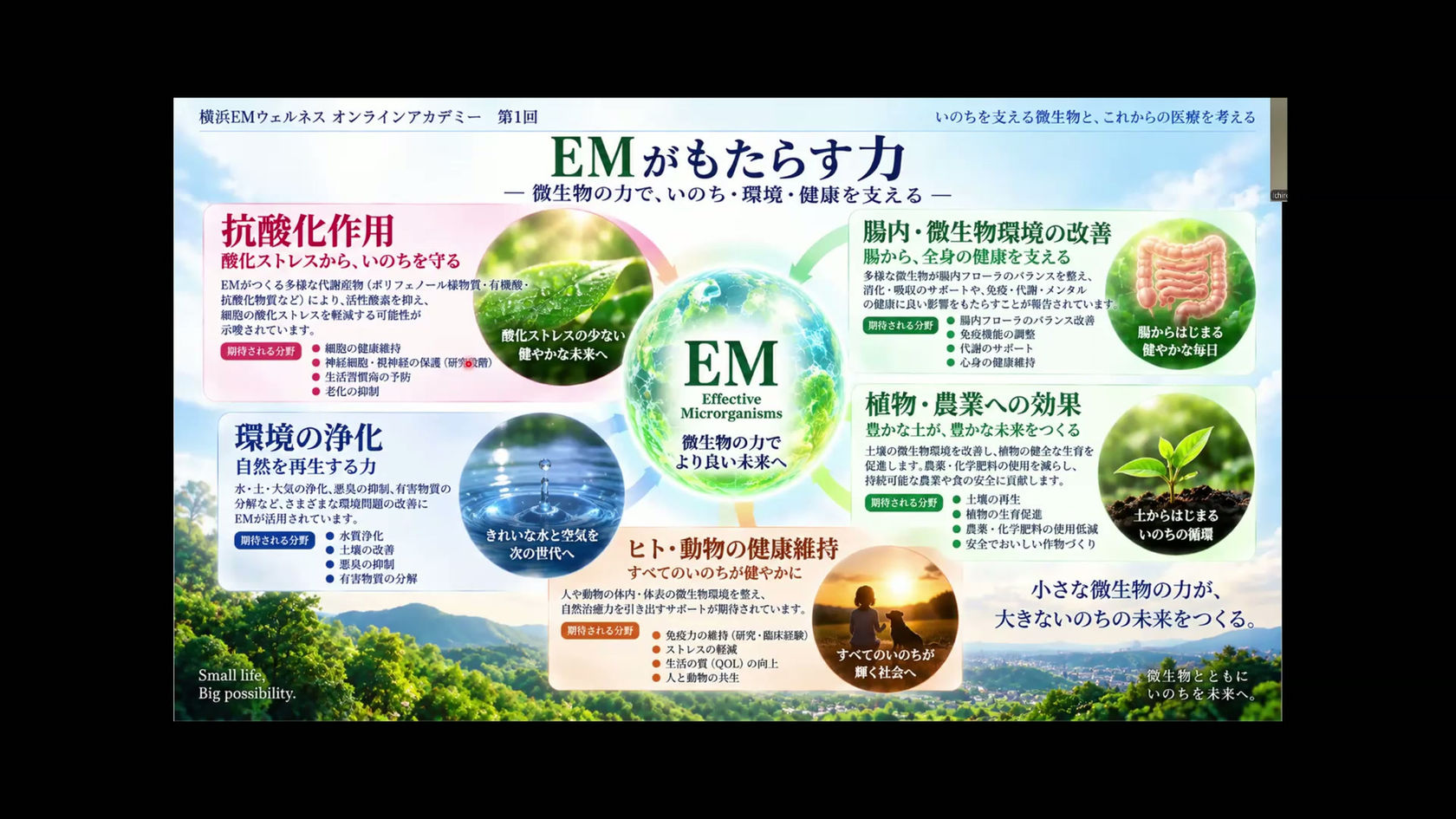 第1回オンラインアカデミー EMとは何か 20260916